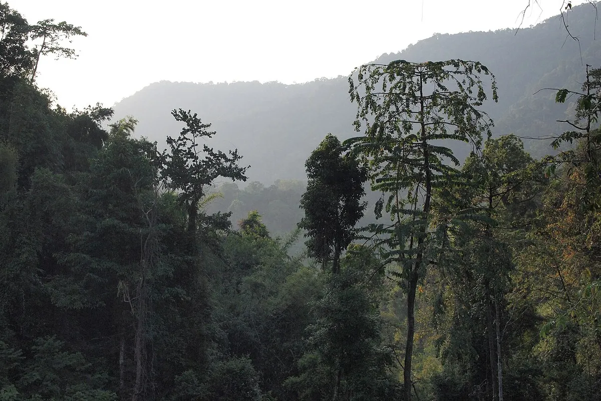 Khao Sok